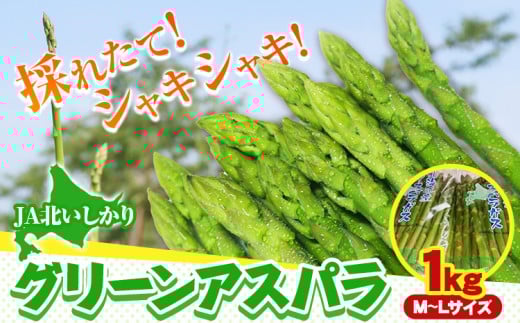 [1-72]　ＪＡ北いしかりグリーンアスパラ1kg