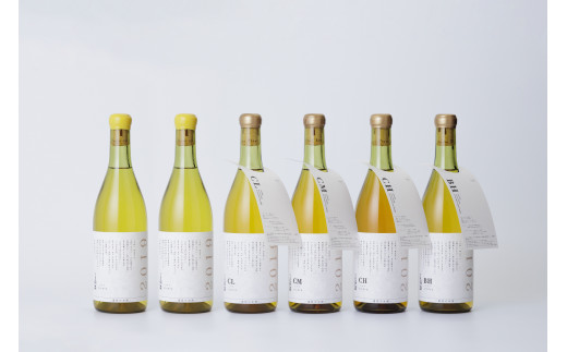 周防大島特産のみかんの果実酒「シセラ」飲み比べセット（５種類６本）