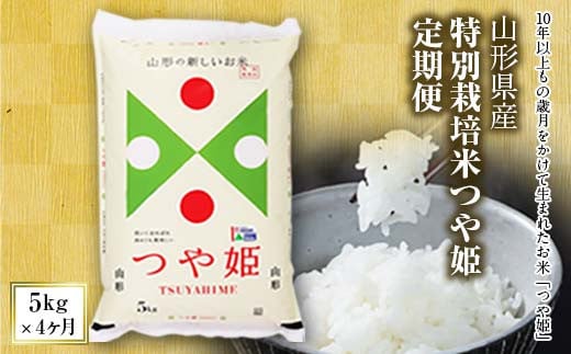 山形県産特別栽培米つや姫定期便4回(つや姫5kg×4ヶ月) つやひめ 山形 定期便 米 精米 白米 弁当 ごはん ご飯 コメ おにぎり 送料無料 プレゼント ギフト ふるさと納税 山形県 F2Y-4016