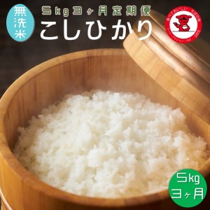 【定期便】 無洗米コシヒカリ 5kg 3ヶ月 一等米 【千葉県産】【お米マイスター厳選】【ご希望時期に発送】