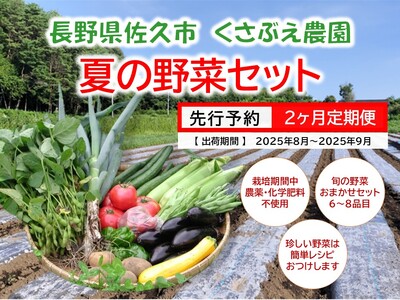 【2ヶ月定期便】くさぶえ農園『夏の野菜6～8品目セット』（2025年8～9月出荷／北海道・沖縄・離島は配送不可）高原 無農薬 産地直送 新鮮 旬彩 簡単レシピ 先行予約【 産直 高原野菜 季節の野菜 旬の野菜 有機野菜 有機栽培 農薬 化学肥料 不使用 佐久市 】