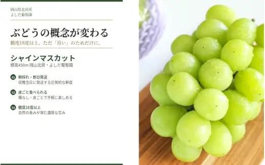 【2026年先行予約】 糖度18度以上！朝採れシャインマスカット 2kg (4房または5房) ぶどうの概念が変わる よしだ葡萄園の極上品【10月上旬～10月下旬頃に順次発送】 / ぶどう シャインマス