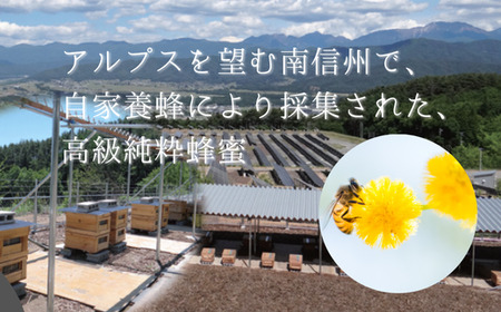 TK29-25A ジュエリーボックス 新世代ぶどうのスプレッドとアカシア蜂蜜の詰め合わせ 12個入 // 長野県 松川町産 南信州 ぶどう シャインマスカット ナガノパープル クイーンルージュ® 寒天