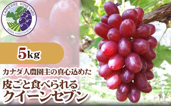 
            No.313 【カナダ人農園主の真心を込めた】皮ごと食べられるクイーンセブン約5kg ／ 葡萄 ブドウ ぶどう 果物 フルーツ 新鮮 広島県 特産品
          