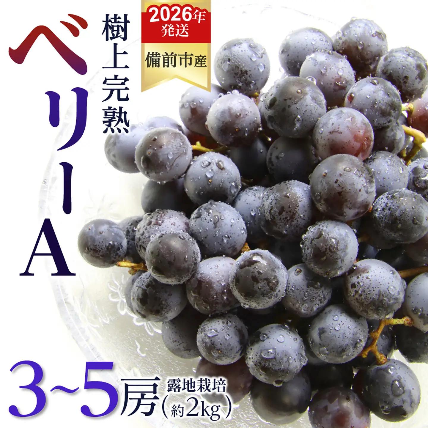 【2026年発送分　先行受付開始！】びぜん葡萄「ベリーＡ」（露地栽培）約2kg（令和8年9月上旬～9月中旬頃発送） 【葡萄 ベリーＡ】