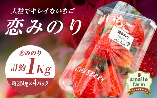 スマイルファーム 大粒でキレイないちご 恋みのり 約1kg FAF-0043