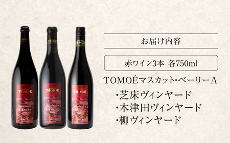 〜三次のMBAを味わう〜マスカット・ベーリーA 3ヴァインヤードセット ワイン 受賞 飲み比べ ワインセット ギフト 三次市 / 広島三次ワイナリー[APAZ031]