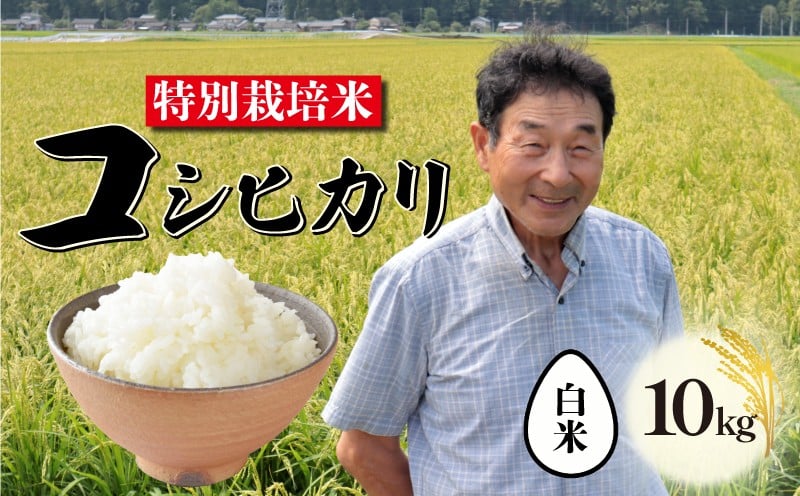 
                  【12月発送】 特別栽培米 コシヒカリ 白米 10kg 新潟 米 新潟県 こめ ご飯 ごはん おいしい こしひかり 新発田 新発田産 新潟産 朝食 昼食 夕飯 炊きたて 精米 success002_202512
                