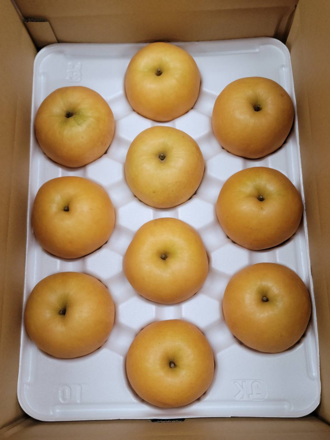 岸田秀果園 新興梨 進物5kg 【鳥取県 境港市】