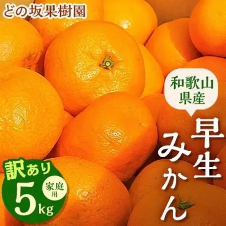 訳あり・ご家庭用　早生みかん　約5kg(農家お助け2S～4L規格)【2026年12月中旬～順次発送】【配送不可地域：離島・北海道・沖縄県】【1491580】