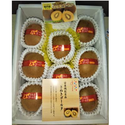 ふるさと納税 三豊市 【発送月固定定期便】【さぬき讃フルーツ】造田商店　キウイ食べくらべ定期便全2回