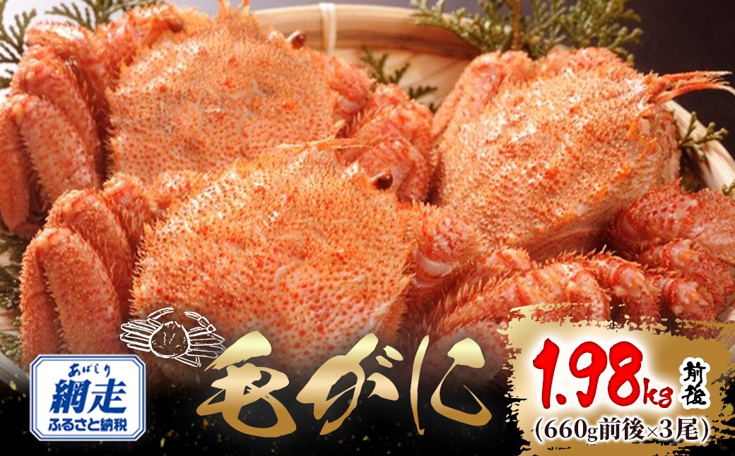 
            網走産 毛がに1.98kg前後（660g前後×3尾） 【 ふるさと納税 人気 おすすめ ランキング かに カニ 蟹 毛ガニ 毛がに 毛蟹 網走産 冷凍 蟹みそ カニみそ 蟹味噌 オホーツク 北海道産 北海道 網走市 送料無料 】ABW110
          
