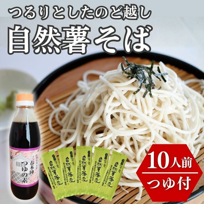 【ふるさと納税】 創業85年以上の老舗 自然薯そば つゆセット 10人前(200g×5袋/つゆ1本付) 蕎麦 こだわり 人気 乾麺 小野寺製麵 長期保存 備蓄 年越し 温そば 冷そば 石臼挽き オススメ 南部一郎かぼちゃ soba お試し おためし 一関 岩手