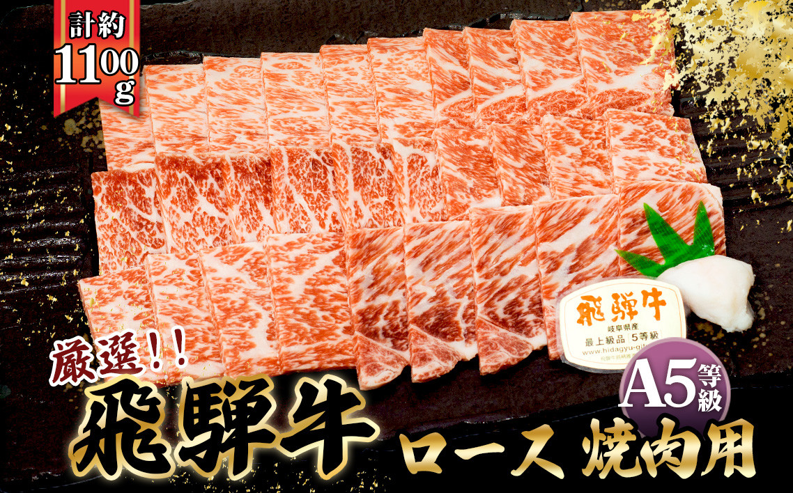 
店主こだわり雌牛 飛騨牛A5等級　ロース　焼き肉用　約1.1kg [No.085] ／ 牛肉 ブランド牛 やきにく 焼肉 メス牛 冷凍 岐阜県 特産
