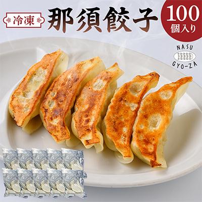 ふるさと納税 那須塩原市 那須餃子 100個入