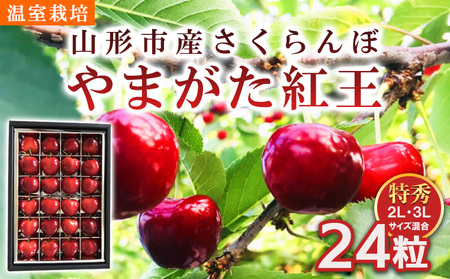 山形市産 さくらんぼ 温室栽培【やまがた紅王 特秀品】2L・3L混合 24粒【令和8年産先行予約】FS25-094