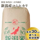 【ふるさと納税】【令和6年産新米】 新潟県加茂市産コシヒカリ 玄米30kg 一等米 【選べる配送回数（通常配送1回～定期便12回）】 お米の専門店 古川商店