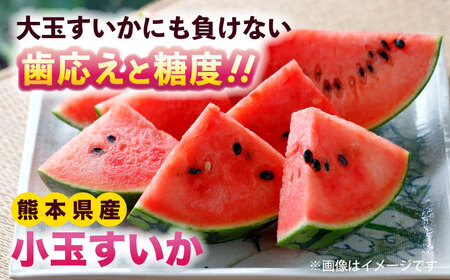 【先行予約】訳あり 小玉すいか 2玉 約2kg～3kg　【株式会社 Foody’s】[AYAT009]