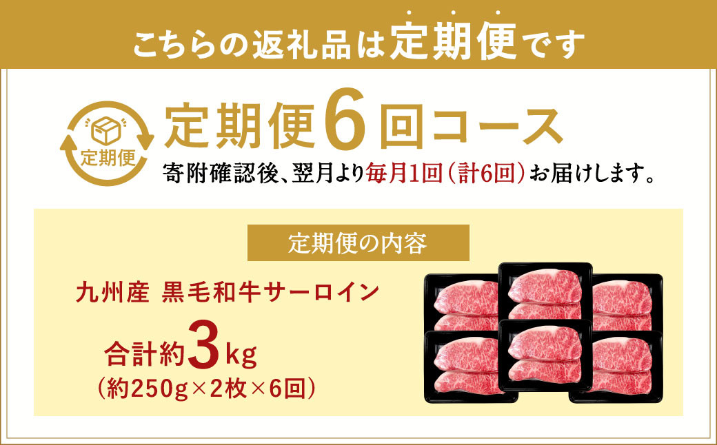 【6ヶ月定期便】 九州産 黒毛和牛 サーロインステーキ 合計約3kg (約250g×2枚×6回)