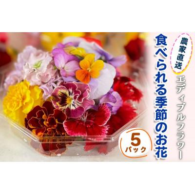 ふるさと納税 伊勢原市 農家直送!加藤さんちのエディブルフラワー 5パック (1パックあたり季節のお花15輪から30輪)