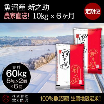 ふるさと納税 十日町市 【毎月定期便】【中里地域限定!魚沼産 新之助】10kg(5kg×2袋)×6 合計60kg全6回