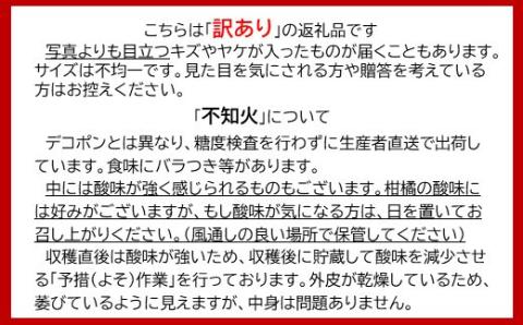 B-292【訳アリ】【お届け日の指定不可】”よかんばい”鹿島産不知火  約11kg（イタミ保証含む）