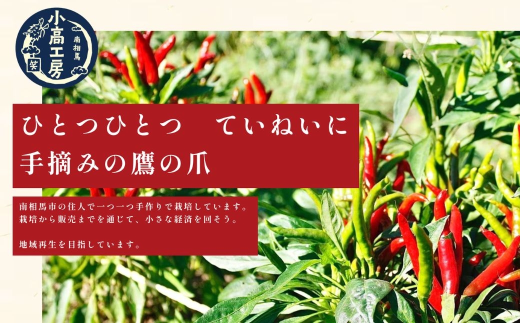 小高ビーフカレー(激辛) 選べる個数 (2〜20パック)