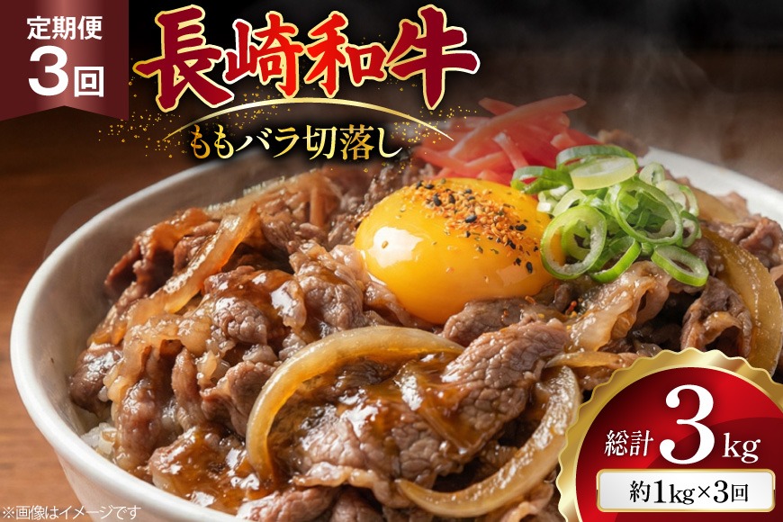 AJ577 【3回定期便】長崎和牛 切り落とし (もも・バラ) 約1kg (500g×2P) [ 肉 牛肉 和牛 高級 おいしい ステーキ肉 まるしん商会 黒牛 長崎県 島原市 ]
