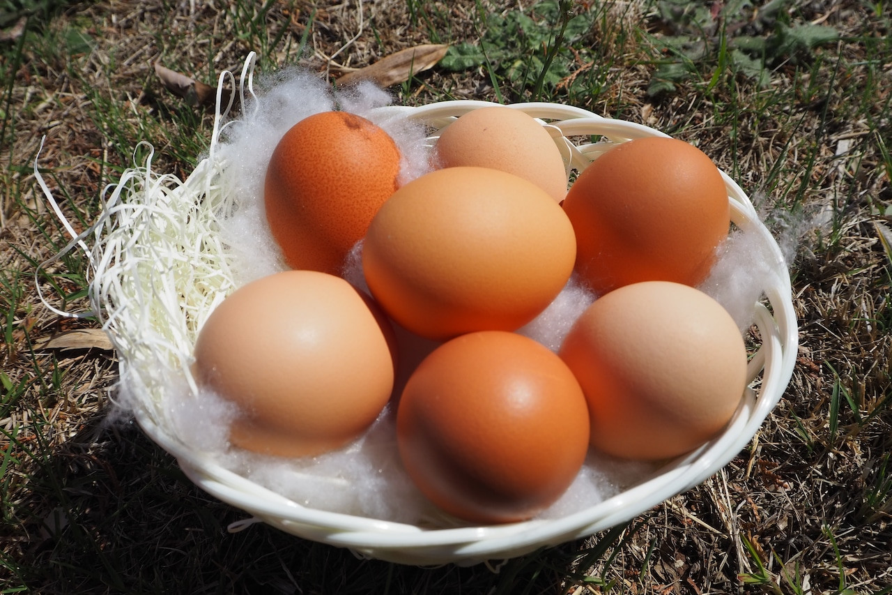 
            放し飼い有精卵（60個入り）
          