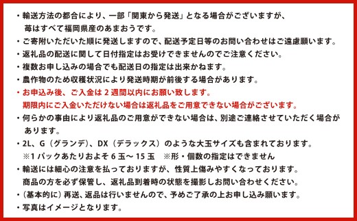 【数量限定】 福岡県産 あまおう 計500g 250g×2パック 【2027年2月上旬～4月上旬発送予定】 苺 イチゴ いちご 果物 フルーツ 果実 国産 アフター保証 アフター対応 福岡県 遠賀町 