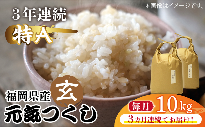 【先行予約】【全3回定期便】福岡県産【特A】評価のお米「元気つくし」5kg×2袋 [10kg] [玄米]【2024年11月下旬以降順次発送】《築上町》【株式会社ベネフィス】[ABDF118]