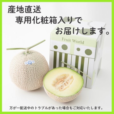 【2027年5月中旬より発送】磐田市 ねらい目 クラウンメロン 山等級 約1.3kg×2個【配送不可地域：離島・北海道・沖縄県】