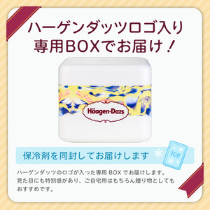 マルチパックセット／ハーゲンダッツ