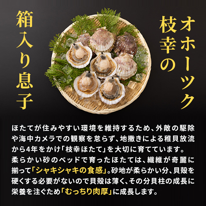 プロも認めるオホーツクブランド「枝幸ほたて」冷凍貝柱1kg（3Sサイズ：41粒～50粒）枝幸漁協