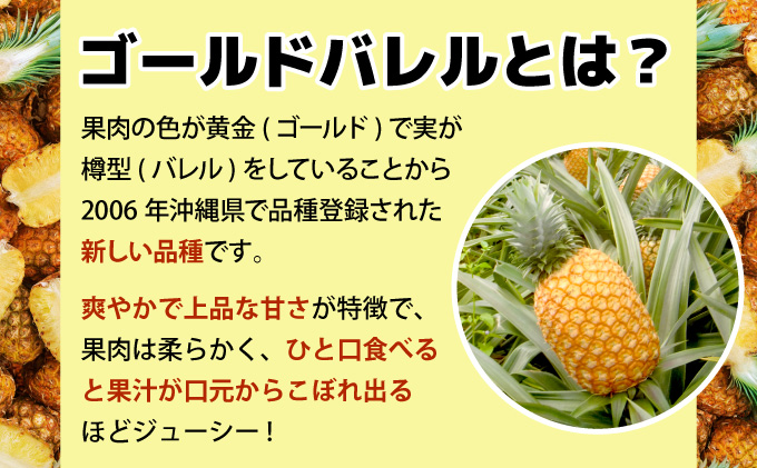 【2026年発送】ゴールドバレルビッグな２玉セット