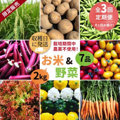 ふるさと納税 糸島市 【全3回定期便】☆畑直送☆限定!栽培期間中農薬不使用!お米2kg&amp;野菜7品セット[AGE036]
