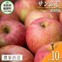 【ふるさと納税】 りんご サンふじ 訳あり 10kg 中村ファーム ( 中村りんご農園 ) 沖縄県への配送不可 令和6年度収穫分 長野県 飯綱町 〔 傷 不揃い わけあり リンゴ 林檎 果物 フルーツ 信州 長野 19000円 予約 農家直送 〕発送時期：2024年11月下旬～2025年2月中旬