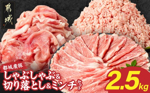 
                  都城産豚しゃぶしゃぶ&切り落とし&ミンチセット2.5kg_25-020-2500g_(都城市) 都城産豚 豚肉 ロース ミンチ 切り落とし セット ハンバーグ 肉詰め しゅうまい しゃぶしゃぶ 豚汁 カレー 炒め物 おかず
                