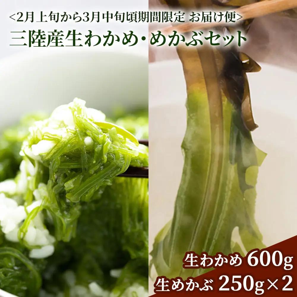 fn-39-014 三陸産生わかめ・めかぶセット【2月上旬から3月中旬頃お届け便】 ヤマキイチ商店
