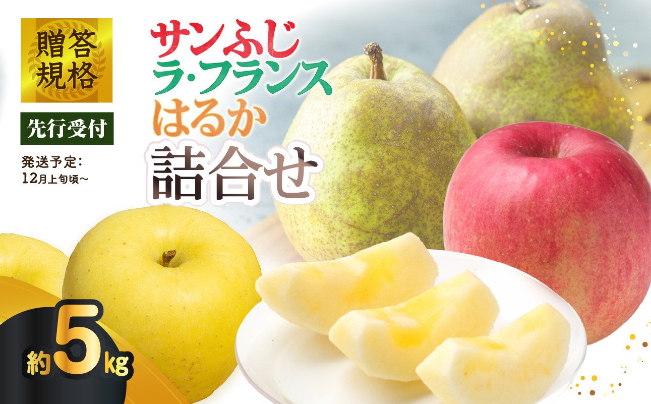 
            《先行受付》贈答規格「サンふじ」「ラフランス」「はるか」約5kg詰合せ（特秀～秀）【2025年12月上旬～発送予定】【大江町産・山形りんご・りんご専科 清野】 【015-065】
          