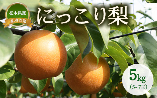 
                  【産地直送】にっこり梨（5玉～7玉） ◇  ※2026年10月～発送
                