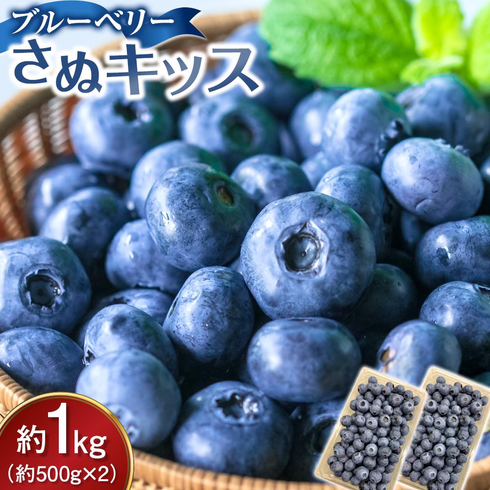 【ふるさと納税】ブルーベリー さぬキッス 約1kg (約500g×2）