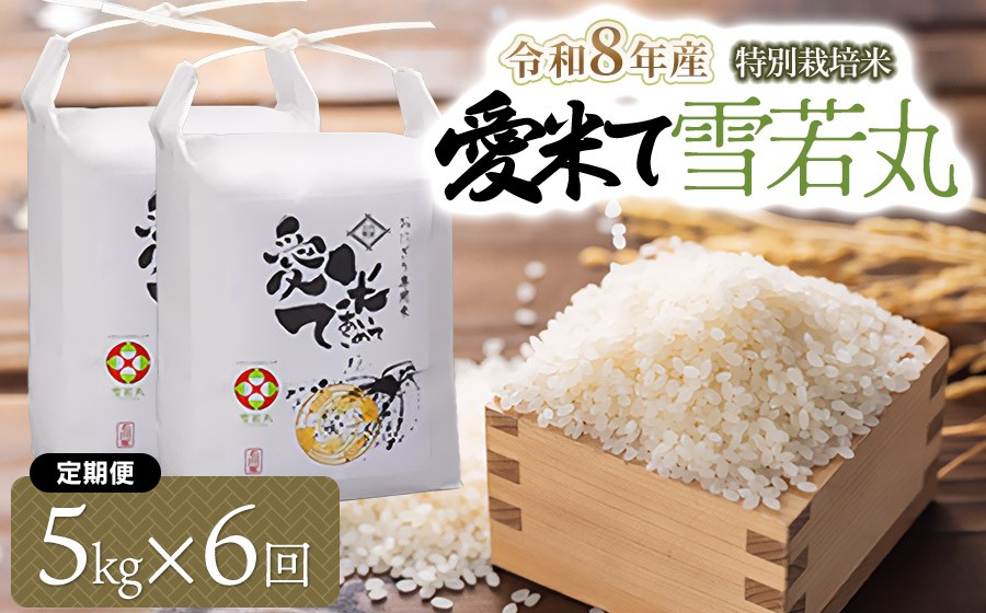 
                  【令和8年産先行予約】【6ヶ月定期便】特別栽培米 雪若丸　精米 5kg×6ヶ月　山形県鶴岡市産　愛米て　| 米 こめ コメ 5キロ ゆきわかまる ブランド米 庄内米 ごはん ご飯 美味しい 国産 おにぎり 農家直送 おすすめ 人気 お取り寄せ 返礼品
                