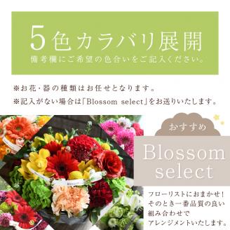 【フラワーアレンジメント】パリスタイルアレンジメント(Mサイズ)【5色カラバリ展開】【2402U03805】