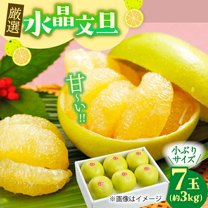 【ふるさと納税】【先行予約】 厳選・水晶文旦 約3kg（小ぶりサイズ7玉入り）〈2026年10月1日～2026年11月中旬頃発送〉 / 文旦 水晶文旦 3kg 小ぶり 7玉 柑橘 果物 フルーツ デザート 季節限定 期間限定 【L＋武田青果】 [ATIT004]