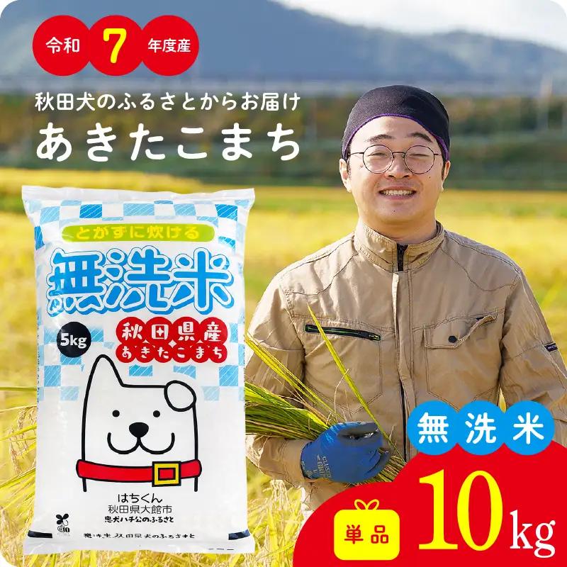 《令和7年産》無洗米 あきたこまち 10kg 無洗【真正ファーム】