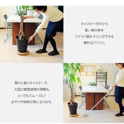 ふるさと納税 大川市 らくらくベース(アルダー) |  | 02