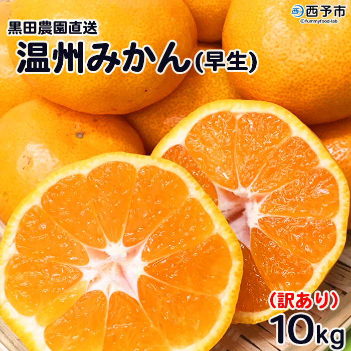
                  【先行予約】＜訳あり 温州みかん 約10kg（サイズ不揃い）早生 黒田農園直送＞ 果物 柑橘 フルーツ 家庭用 自宅用 おすそ分け 食べて応援 特産品 西宇和 愛媛県 西予市【常温】『2026年11月中旬～12月中旬までに順次出荷予定』
                