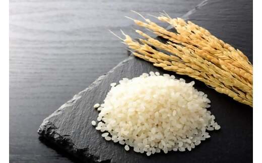 【令和7年産米】有機たい肥で育てた門外不出のコシヒカリ10ｋｇ 精米 白米 10kg 5kg 国産 ごはん 人気 おすすめ  三重県 多気町 NK-02