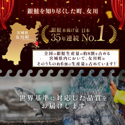養殖銀鮭「銀王」刺身用サク2本(半身1枚分)　約700g【配送不可地域：離島】